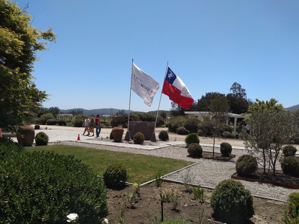 Wine Tourism in Chile: Visiting Casas del Bosque - The Wine Diplomats